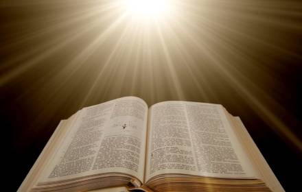 the word